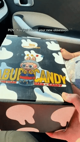 Labubu Stanley Black Insulated Cup