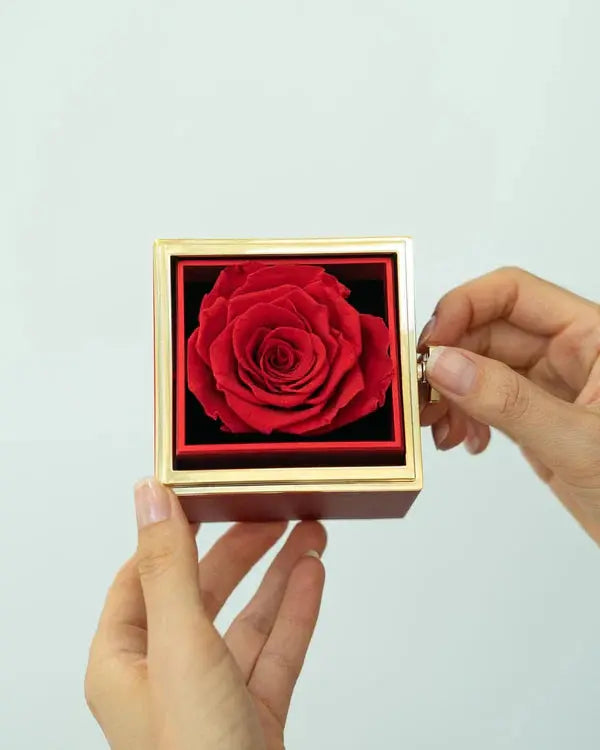 Sonsuz Gül Takı Hediye Kutusu