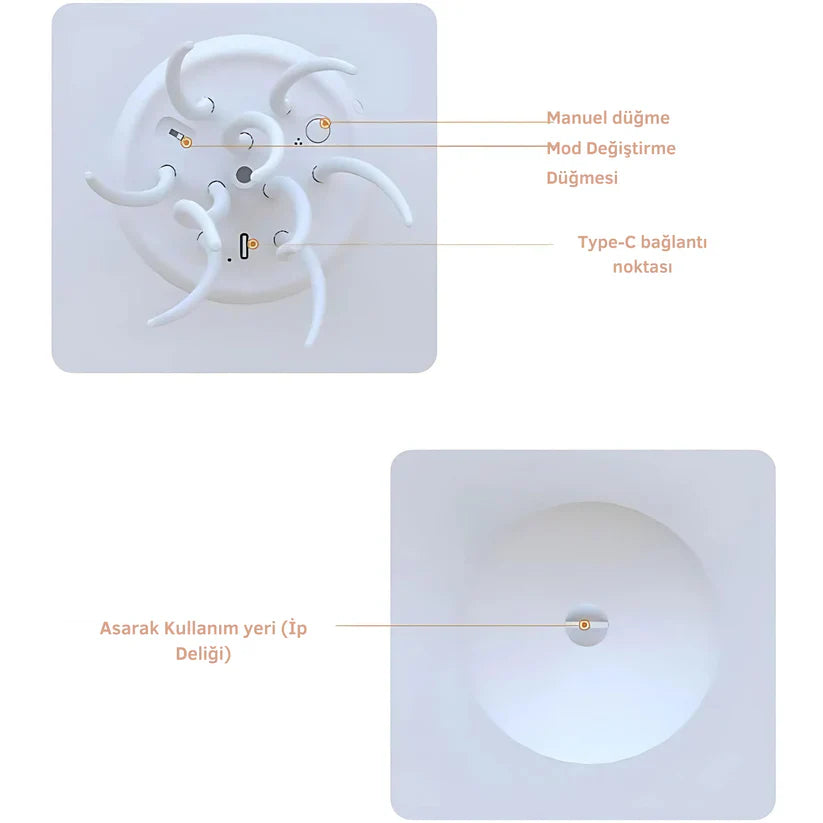 MNDStore™ Denizanası Gece Lambası