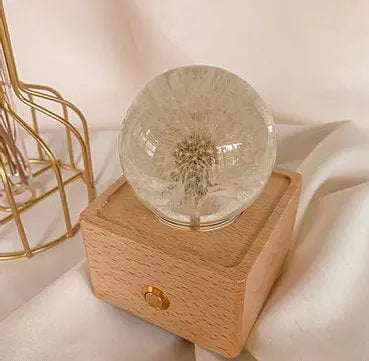 Korunmuş Çiçek Bluetooth Hoparlör