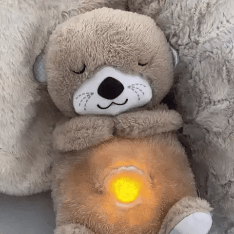 Uyku Arkadaşı Su Samuru