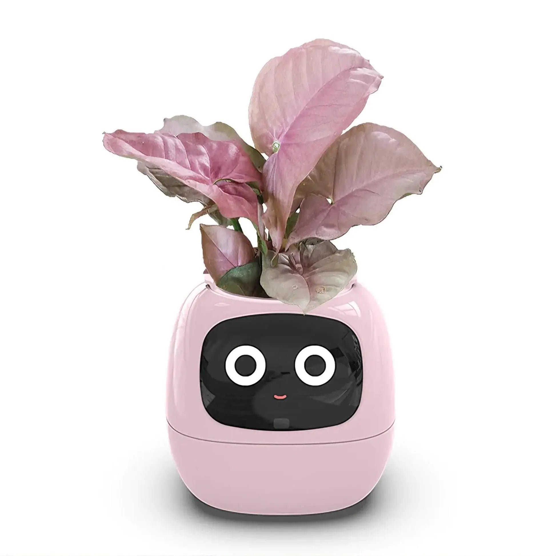 Mndstore™ Smart Flower Pot