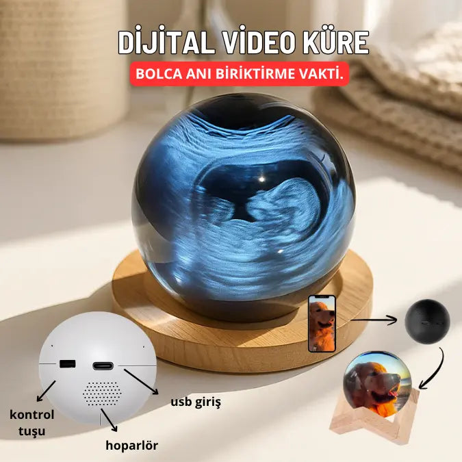 Dijital Video Anı Küresi