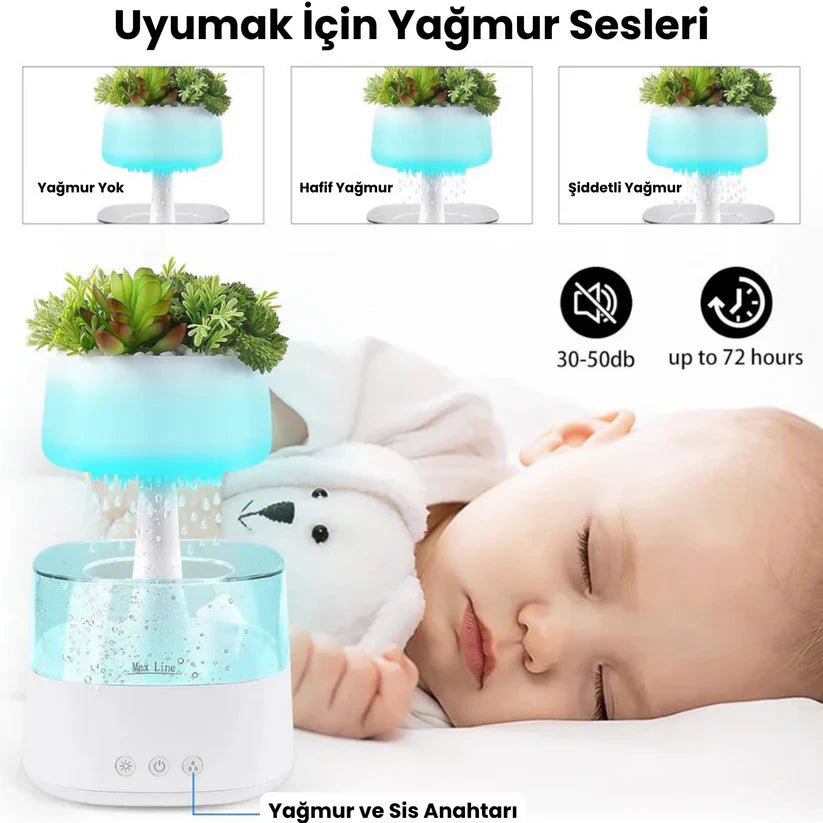 Yağmur Bahçesi Nemlendirici