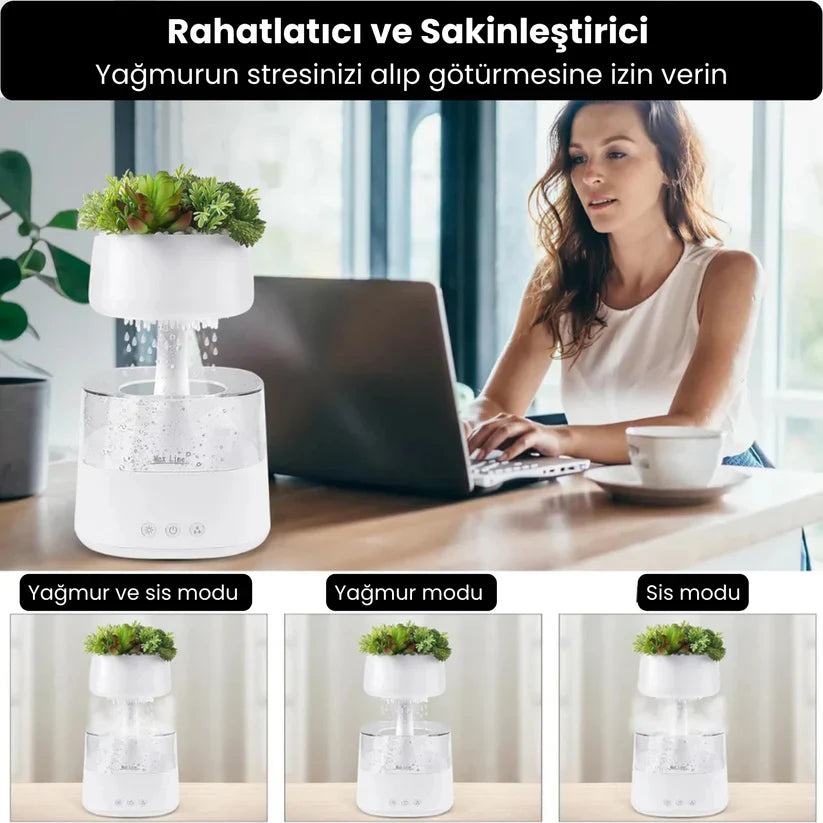 Yağmur Bahçesi Nemlendirici