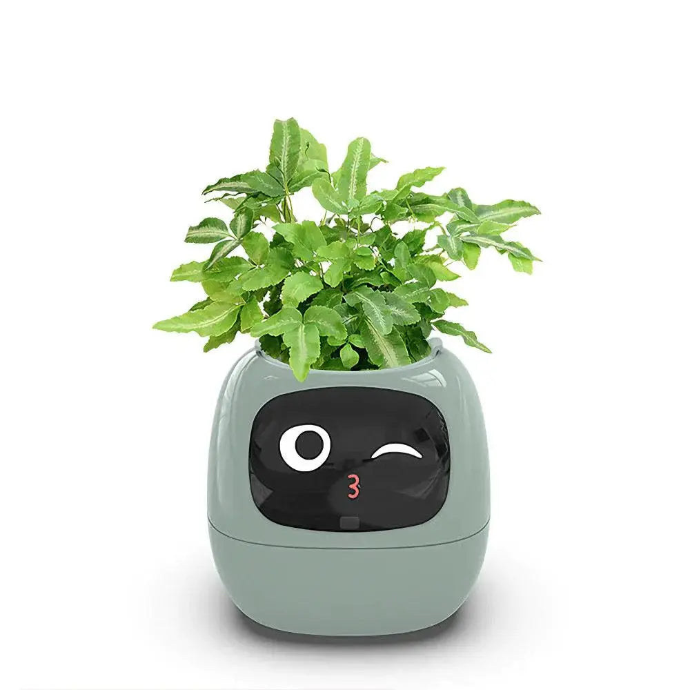 Mndstore™ Smart Flower Pot
