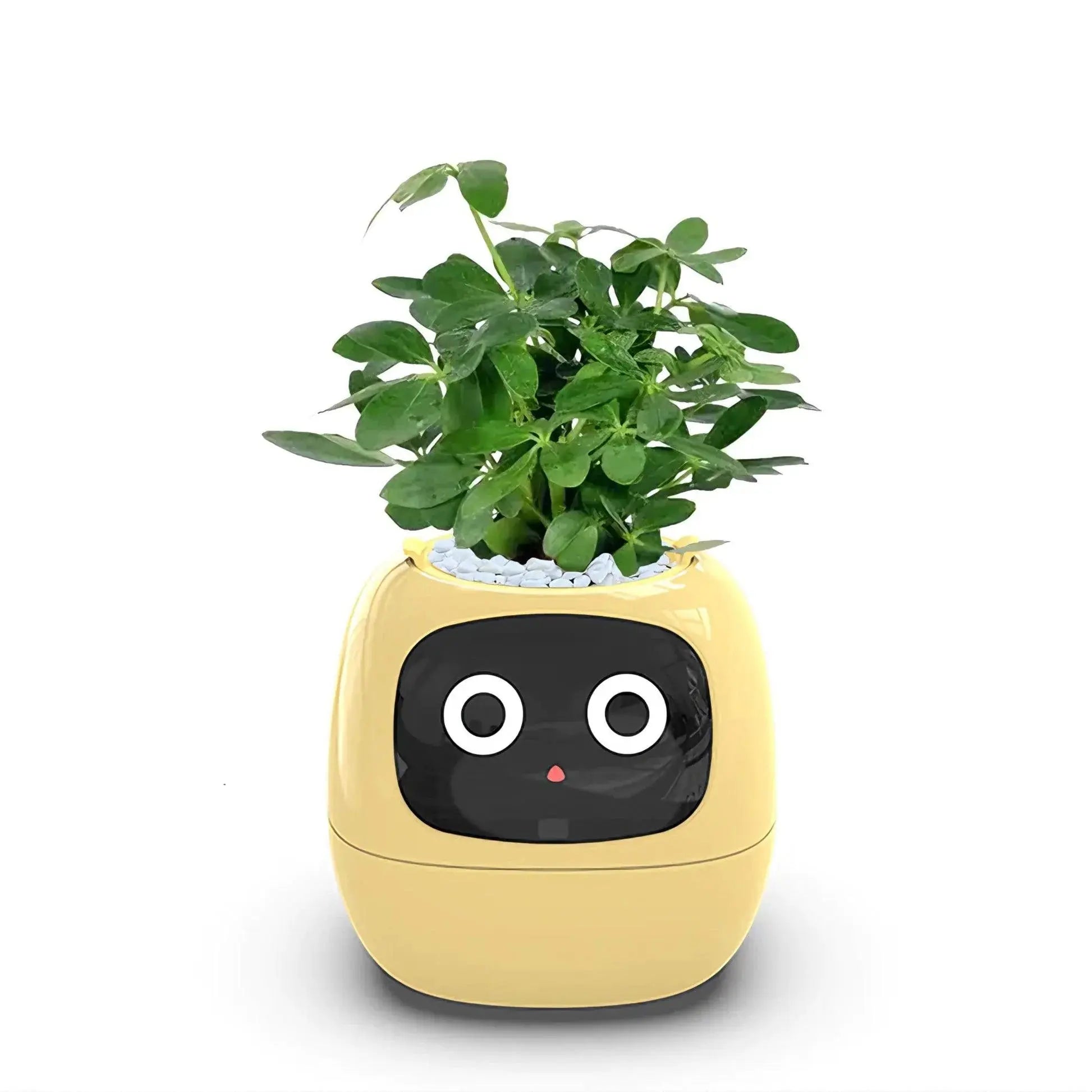 Mndstore™ Smart Flower Pot